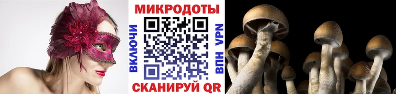 Псилоцибиновые грибы мицелий  Крым 